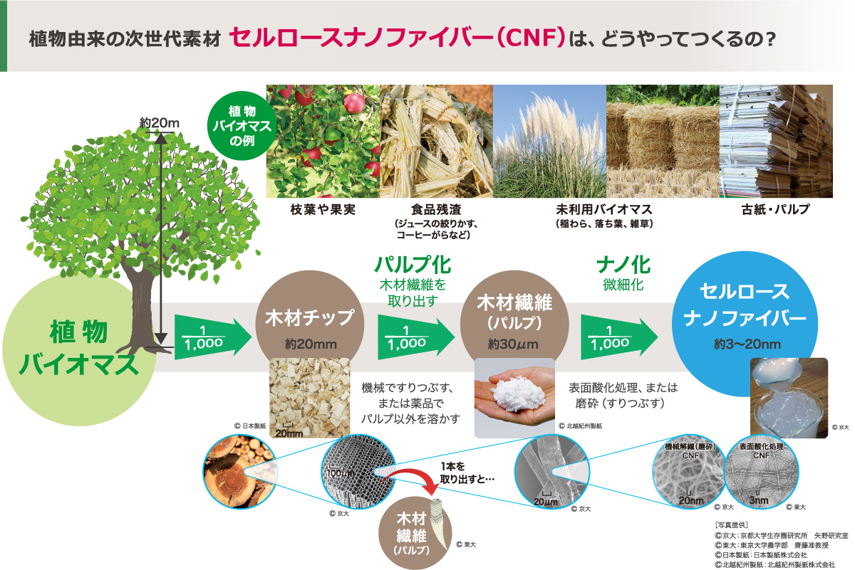 植物由来の次世代素材 セルロースナノファイバー（CNF）は、どうやってつくるの？