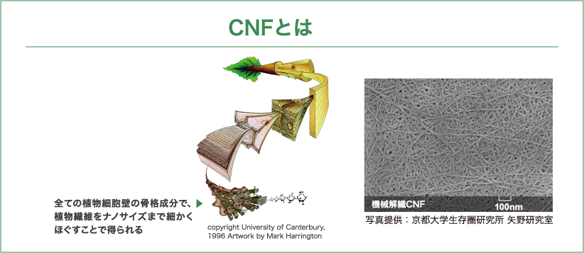 CNFとは